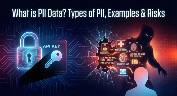 What is PII Data? Types of PII, Examples & Risks